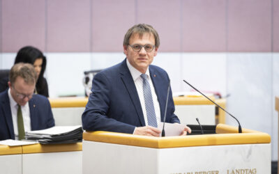 NEUE-Artikel enthält Konstruktionen ohne jegliches Fundament!