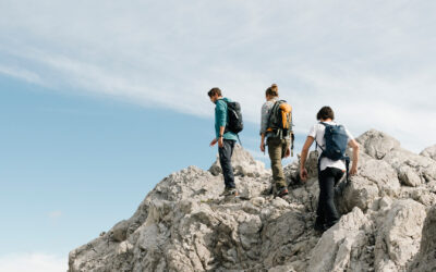 Prüfen, verwerfen, weiterentwickeln und VEREDELN.