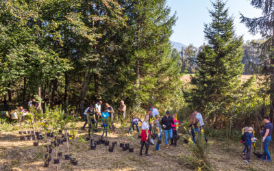 Unser Unternehmer Gen: Nachhaltig denken und handeln