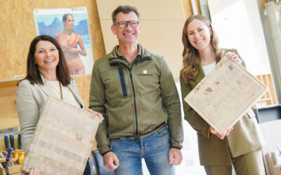 Möbelwerkstatt Gasser: Handwerkliche Meisterstücke aus HolzMöbelwerkstatt Gasser