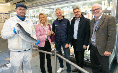 METRO Österreich: Nachhaltiger Erfolg in der Großhandelsbranche