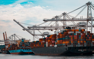 Globale Expansion ↗ Exportwirtschaft